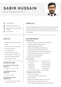 SEO Expert Need Job