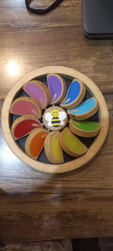 wooden color learning toy