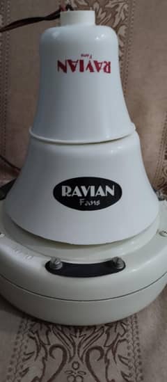 Ravian