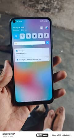 vivo