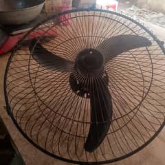 fan