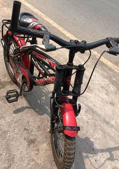 China cycle