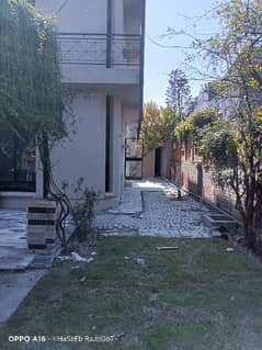 16 Marla Full House Available For Rent In Cavalry Ground.