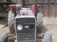 Massi 135