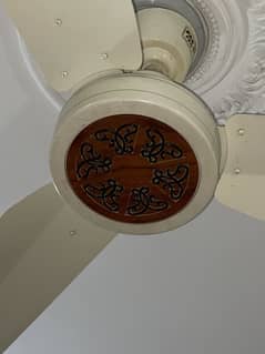 Ceiling Fan