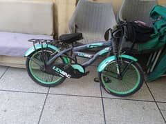 the tires are new and the bicycle is used