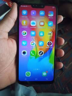 vivo