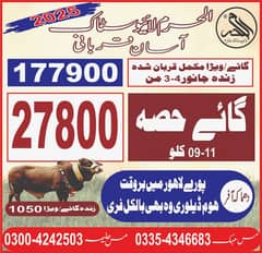 قربانی