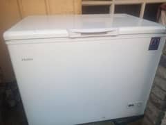 Haier d freezer big size