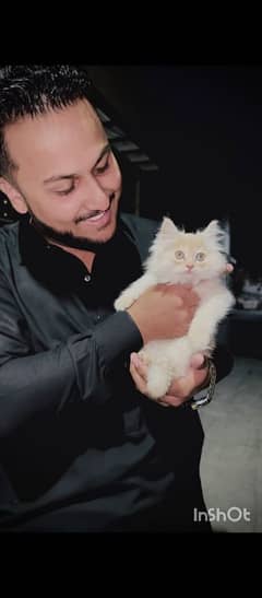 Persian