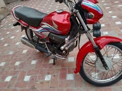 arjent for sale need money 03126845714