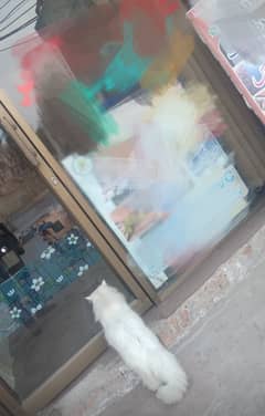 Aluminium Frame Glass door