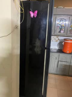 Jumbo Size Double Door Fridge