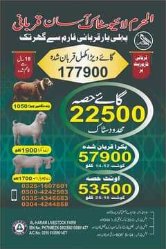 Qurbani 2025 Cow Hissa Is Available