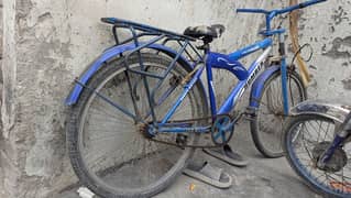 Low Rate Urgent Sale