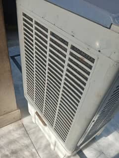 indus cooler