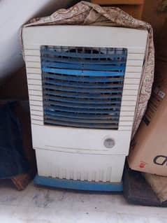 ELECTRIC COOLER