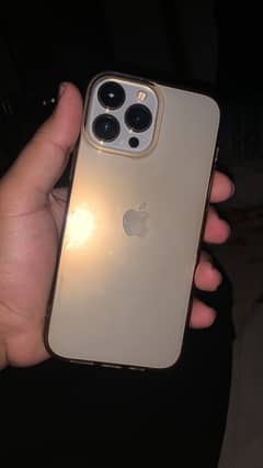 13 pro max