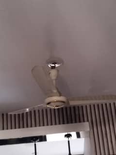 Super Asia Ceiling Fan