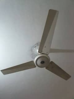 gfc