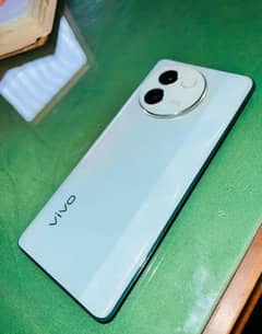 VIVO