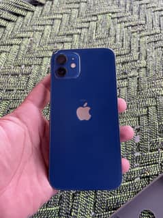 iPhone 12