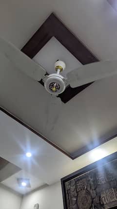 Royal Fan 56 inch modern fan