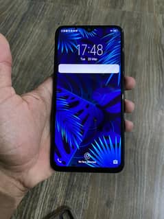 vivo