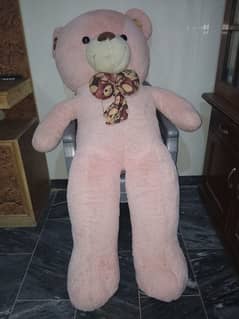 Teddy