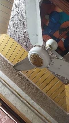 Royal fan for sale
