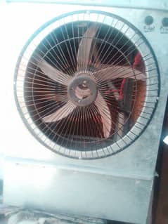 Cooler