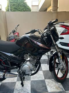 Yamaha