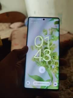 Google Pixel 6 Pro