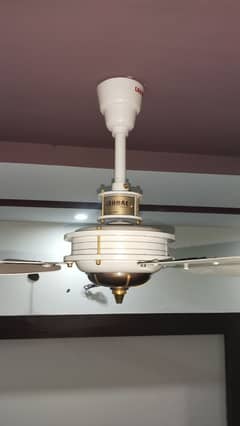ceiling fan for sale