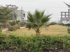 Sadiq Livna Housing Scheme Hyderabad Bypass Plot For Sale