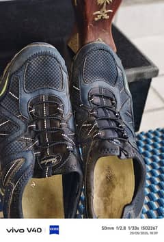Skechers