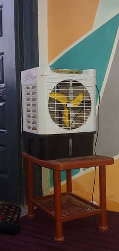 room cooler