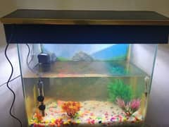 aquarium