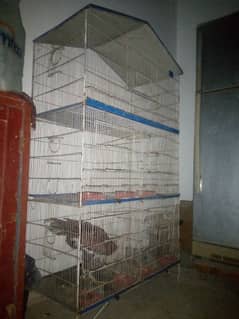 Beautiful 5 portion cage.