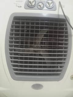 light + solar cooler