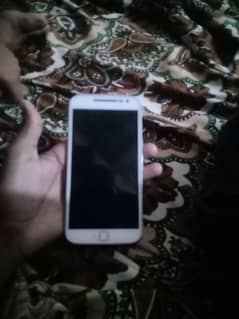 motorola