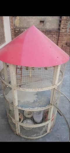 bird cage