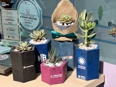Plants