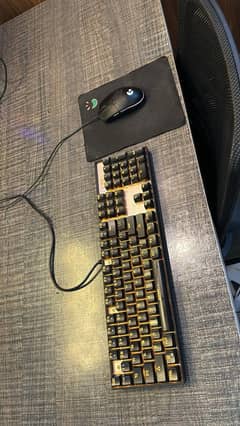 Gaming PC with Monitor and accessories
