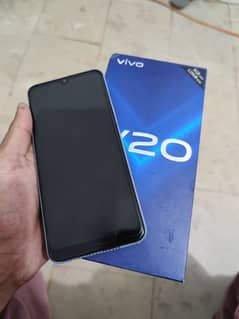 vivo