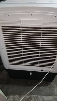 10 by 10 condition hai bus do mah use Kiya hai