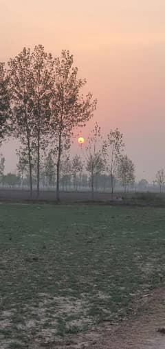 3 acre agriculture land