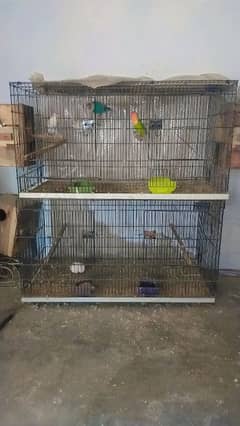 Cages for parrots for sale
