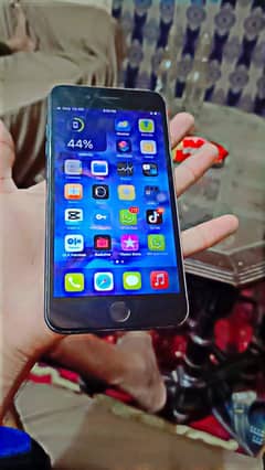 7 plus pta aproved