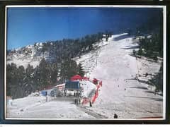 Landscape Painting for Sale Pearl Continental Malam Jabba Ski Resort